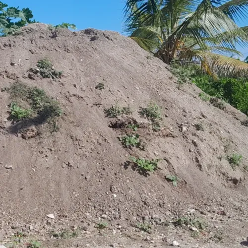 compost_pile_web.webp